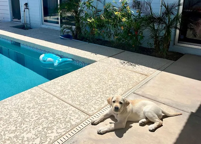 4 Bedroom By Asu Heated Pool And Hot Tub Tempe
